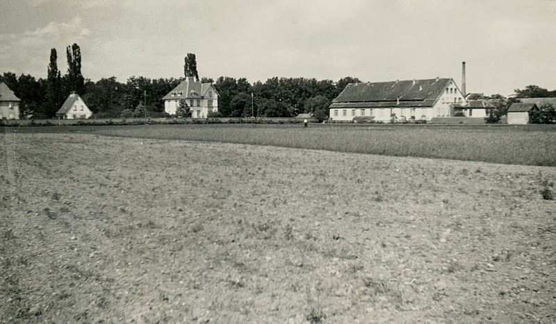 Logelbach